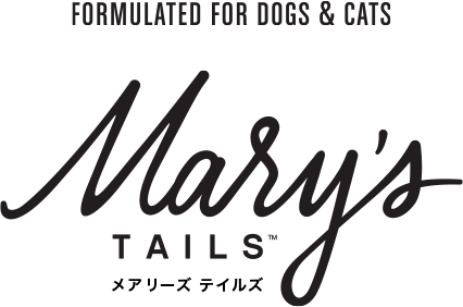 Mary's TAILS メアリーズ テイルズ
